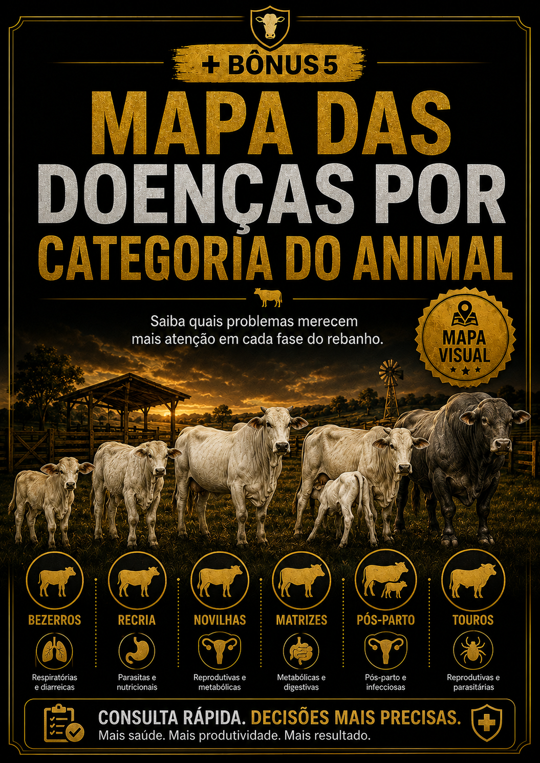 Bônus 5 - Mapa das Doenças