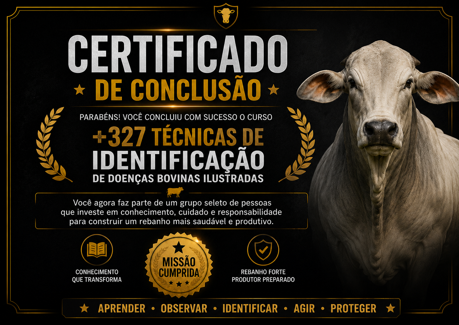 Bônus 6 - Certificado