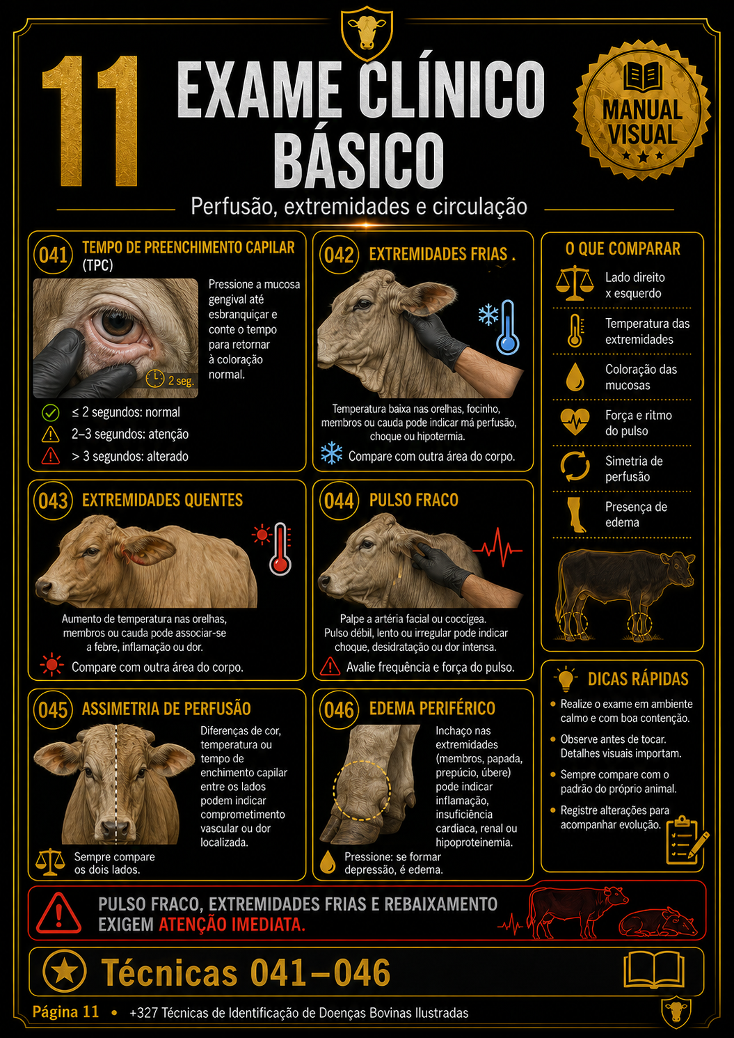 Página do manual 1