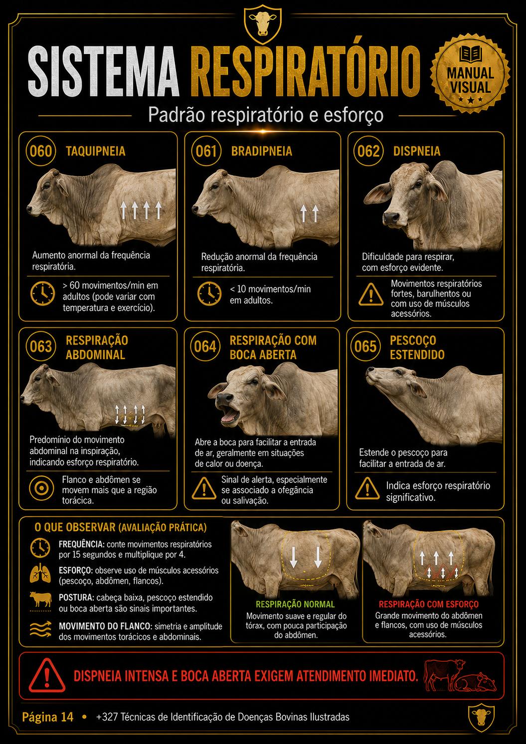 Página do manual 4